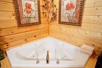 Jacuzzit tub - 2 bedroom cabin near Gatlinburg